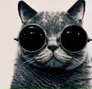 Фотография Величковского Ивана