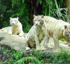 Фотография Елисеевой Александры