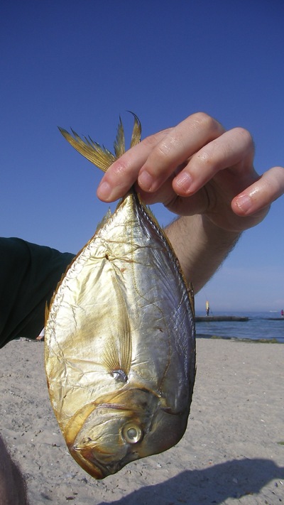 Android Moxsim фотография #45