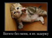 Дмитрий Сухарев фотография #31 (источник - https://vk.com/id3077210)