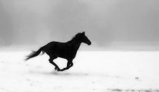 Володимир Потій фотография #4 (источник - https://vk.com/id9220556)