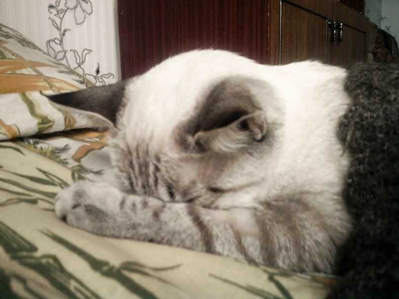 Stephenie Stephenie фотография #3